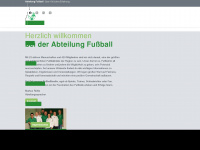 vfl-herrenberg-fussball.de