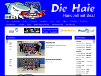 hsg-2010.de Webseite Vorschau