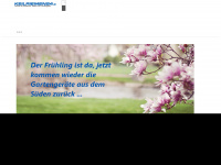 keilriemen24.eu Webseite Vorschau