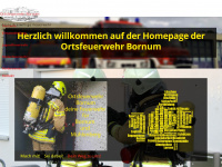 ff-bornum.de Webseite Vorschau