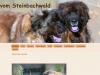 lion-vom-steinbachwald.de Webseite Vorschau