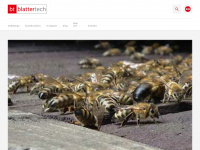 blattertech.ch Webseite Vorschau
