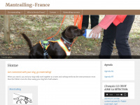 dog-adventure.com Webseite Vorschau