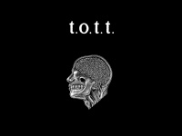 tott.ch Webseite Vorschau