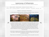 laparoscopyofadhesiolysis.com Webseite Vorschau