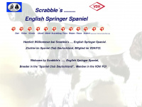 scrabbles-springer-spaniel.de Thumbnail