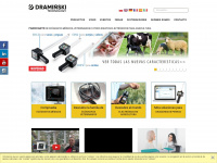 draminski.es Webseite Vorschau