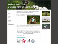 weimaraner-vom-grienenbach.de