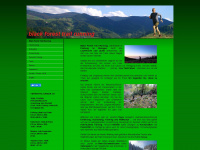 blackforesttrailrunning.de Webseite Vorschau