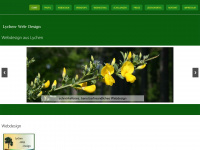 lychen-web-design.de Webseite Vorschau