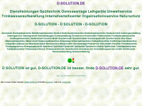d-solution.de Webseite Vorschau