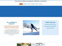 skischule-klingenthal.de