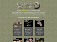 naturalworlds.org Webseite Vorschau