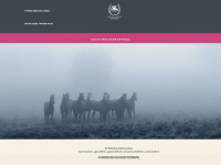 pferdeerziehung.de Webseite Vorschau