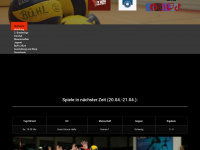 tv-buehl-volleyball.de Webseite Vorschau