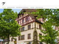 friehjohr.com Webseite Vorschau