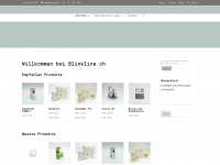blinkline.ch Webseite Vorschau