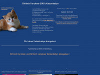 katzenbabyliste.de Webseite Vorschau