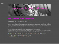caschu-pferdefotos.ch Webseite Vorschau