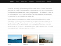 concurinc.com Webseite Vorschau