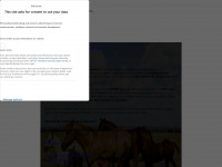pferd-erklaert.de Webseite Vorschau