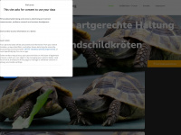 landschildkröten-berlin.de Webseite Vorschau