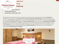 stubnerbauer.at Webseite Vorschau