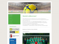 svb-senioren.de Webseite Vorschau