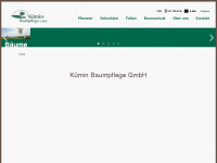 kuemin-baumpflege.ch Webseite Vorschau