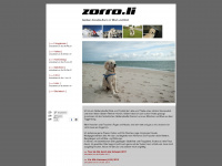 zorro.li Webseite Vorschau
