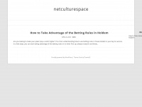 netculturespace.at Webseite Vorschau