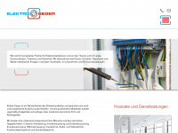 elektroseger.de Webseite Vorschau