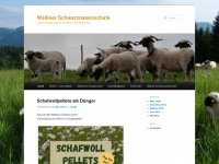 walliserschwarznasen.at Webseite Vorschau