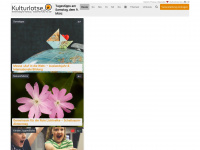 kulturlotse.de Webseite Vorschau