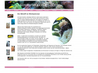 korallenaquarium.com Webseite Vorschau
