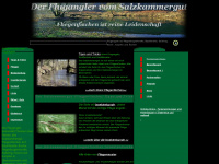 flugangler.at Webseite Vorschau
