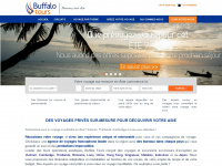 buffalotours.fr Webseite Vorschau