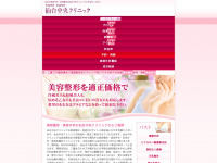 kirei-kirei-sendai.jp Webseite Vorschau