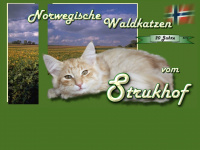 strukhof.de Webseite Vorschau