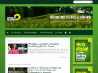 gruene-ml.de Webseite Vorschau