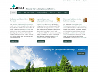 jelu-werk.com Webseite Vorschau
