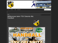 tsvoe-handball.de Webseite Vorschau