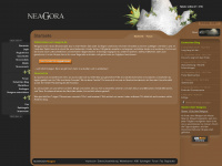 neagora.de Webseite Vorschau