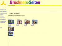 4-brueckner.de Webseite Vorschau