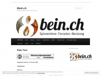 8bein.ch Webseite Vorschau
