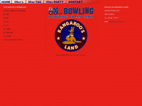 99er-bowling.de Thumbnail
