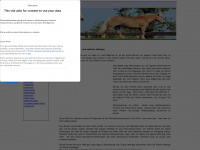 haflinger-familienpferd.de Webseite Vorschau