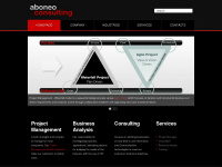 aboneo-consulting.com
