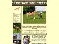 haflinger-hochberg.de Webseite Vorschau