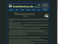 acanthocercus.de Webseite Vorschau